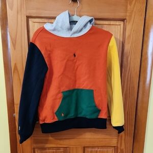 Polo by Ralph Lauren Men's Multicolor Hoodie Sweater